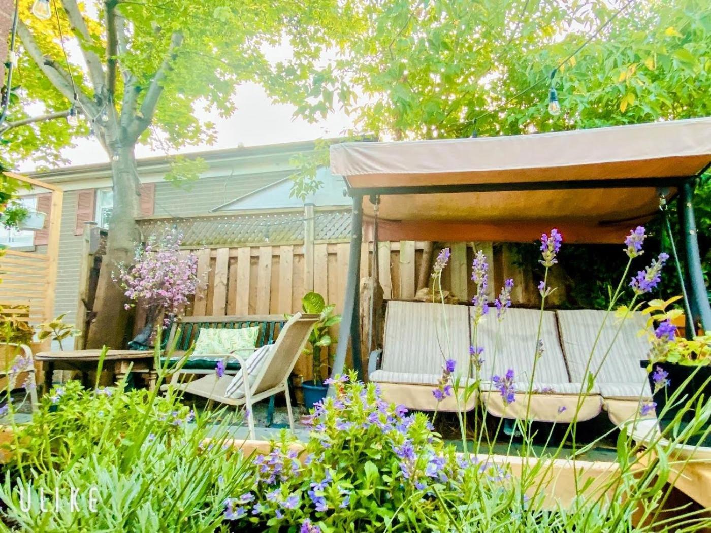 Toronto Bed & Breakfast - Free Parking Exterior photo