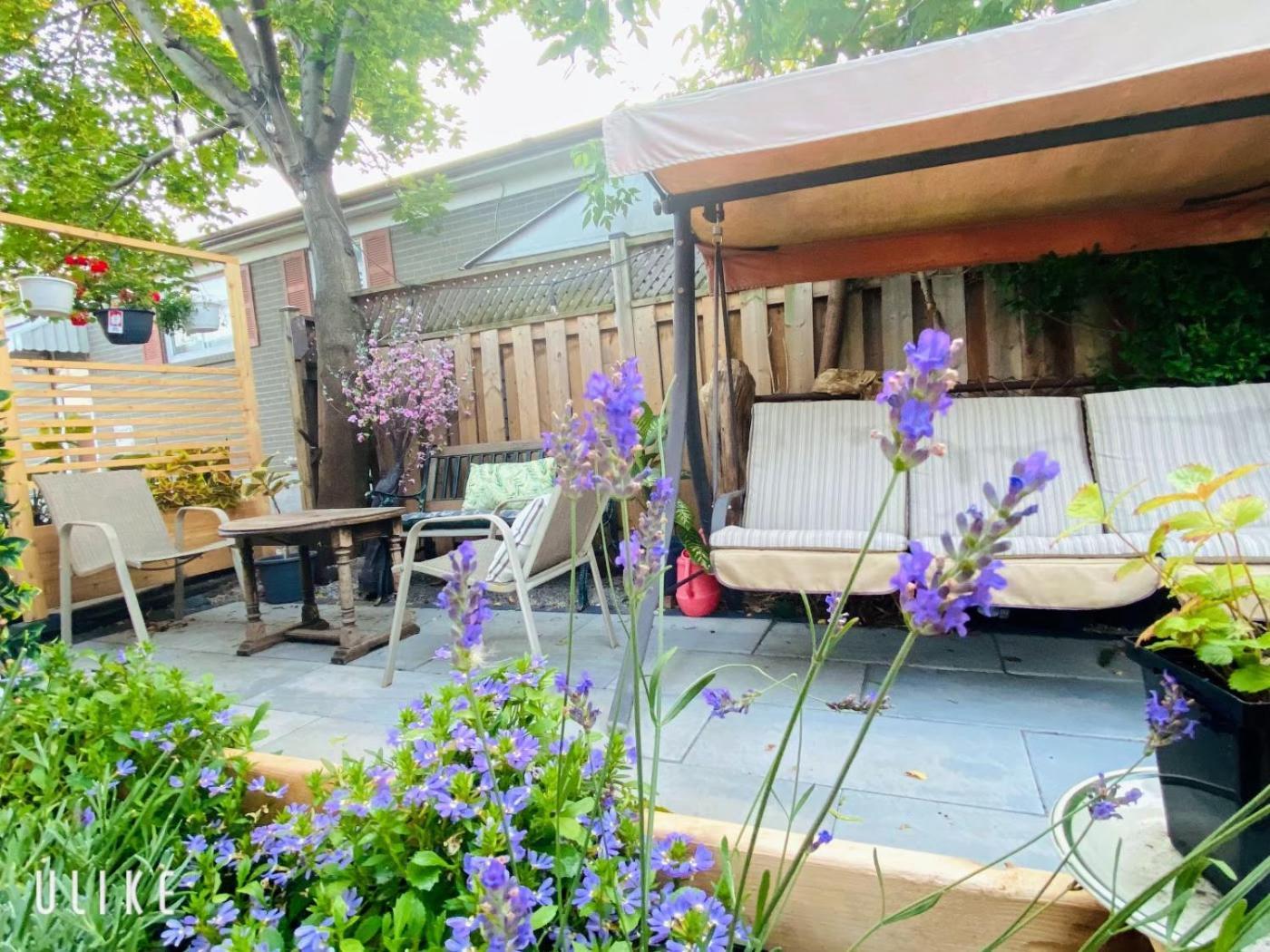 Toronto Bed & Breakfast - Free Parking Exterior photo