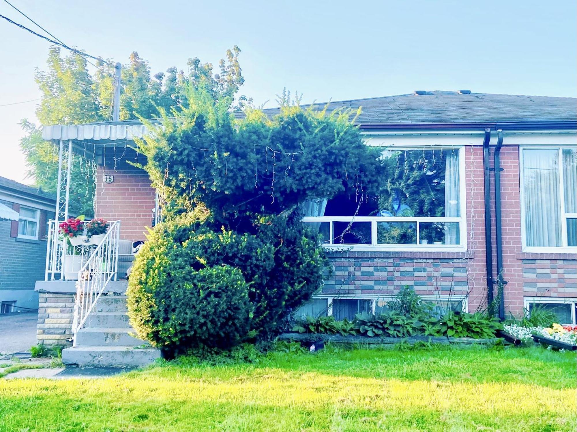 Toronto Bed & Breakfast - Free Parking Exterior photo